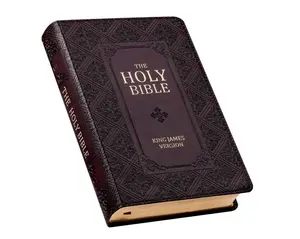 KJV Holy Bible, Giant Print Standard Size Faux Leather Red Letter Edition - Thumb Index & Ribbon Marker, King James Version, Dark Brown (KJV Standard GP Editions) Imitation Leather – Large Print, March 7, 2017