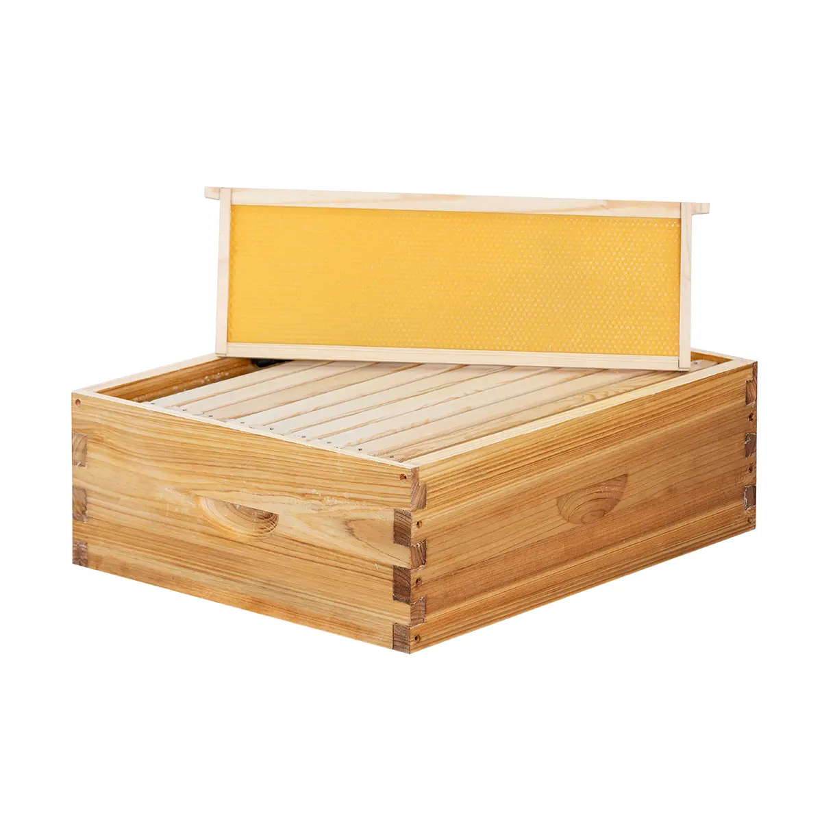 Maybee Hives New Langstroth Medium Super Beekeeping Hive Box - Solid, Wax-Coated Unassembled Wooden Bee Box with Frames, 100% Beeswax Foundations, Inspection Aid for Natural Honey Production