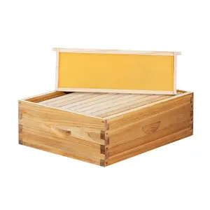 Maybee Hives Beehive Box Langstroth Medium Super Bee Box for Sale Wax Coated Bee Hives Includes Wooden Frames & Waxed Foundations Unassembled