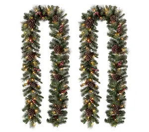 Glitzhome 9' Glittered Pine Cone LED Lighted Ga rland, Set of