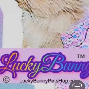LuckyBunny PetsHop