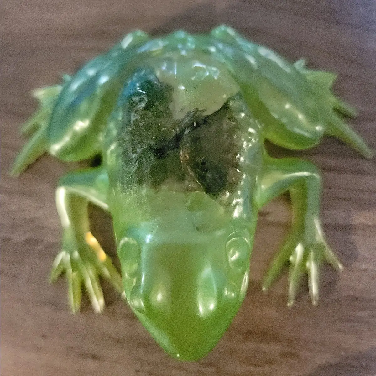 epoxy resin frog with a dragonfly