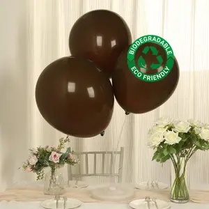 10 Pack Matte Pastel Cinnamon Brown Biodegradable Balloons, Round Eco-friendly Thick Latex Party Balloons - 18"