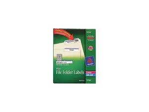 Avery 5766 Self-Adhesive Laser/Inkjet File Folder Labels, Blue Border, 1500/Box