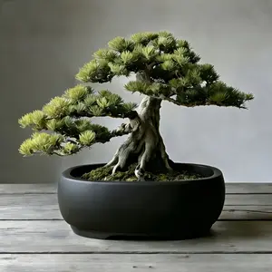 Large Oval Bonsai Pot, Minimalist Style Potted Plant Container, Indoor Desktop Green Plant Bonsai Pot, Balcony Gardening Planter, Horticultural Gift for Home Decor Gardening Gift,home Decor