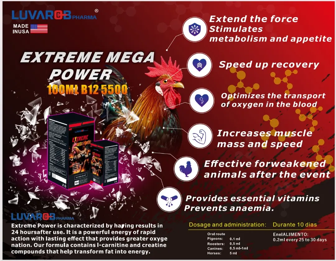 King Booster Extreme Power 100ml B12 B15 5500 Liquid Supplement for Poultry  Roosters Chickens Enhanced Health & Performance - TikTok Shop