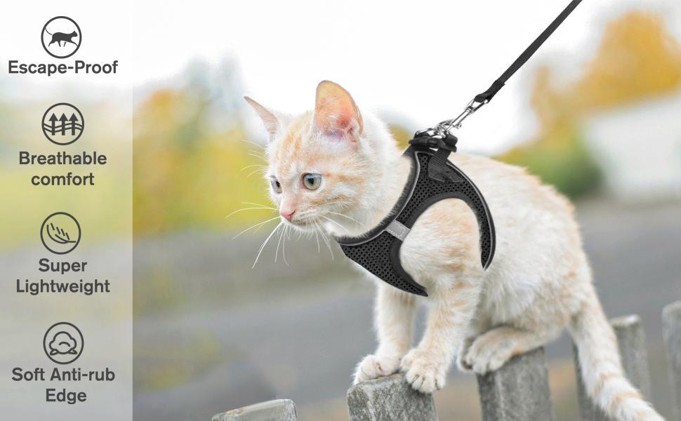 Escape Proof Cat Harness & Leash (≤13 lbs)Adjustable Reflective Soft Mesh Vest for Easy Safe Walks with Leash Included