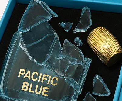 Item: eau de parfum 2.7 oz