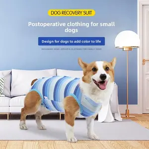2025 New Small Dog Post-Surgery Recovery Suit