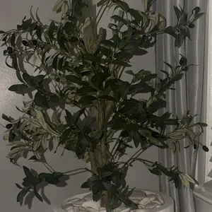 review image 6