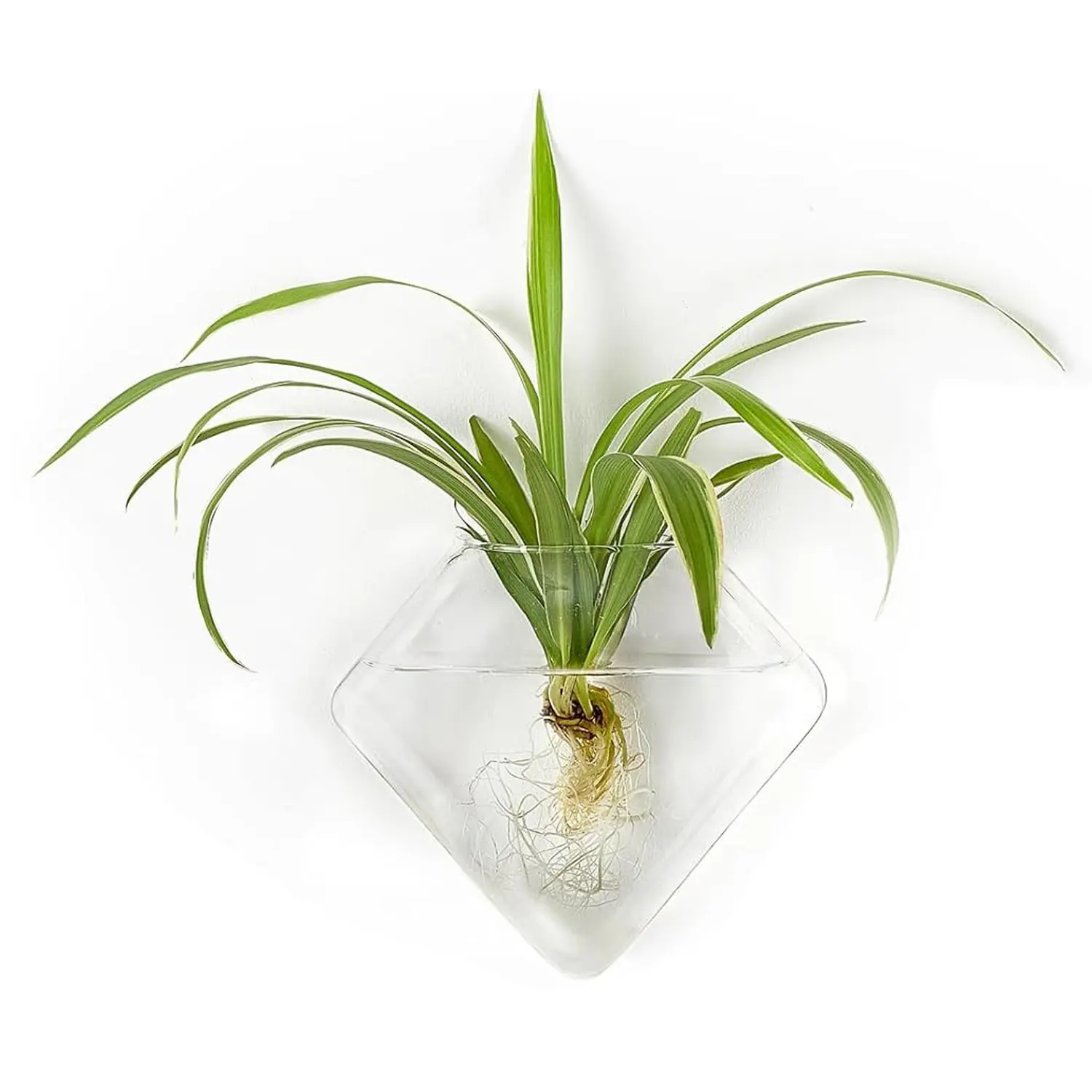 Set of 2 Space Saver Wall Planter Hanging Propagation Stations - Simple Glass Design Hydroponic Plant Vase Holder for Root Growth, Indoor Home Office Wall Decor (Aquarium-Friendly Accent)