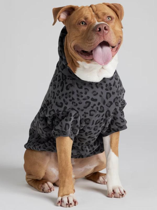 Comfrt Paws | Minimalist Hoodie