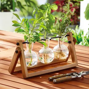 Glass and Wood Propagation Station Set, 11.3 in L x 4.3 in W x 5.5 in H