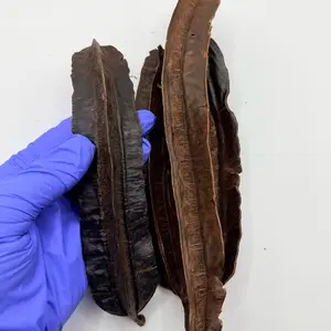 PULSEGLU 4Côtés- Prekese/ Aidan Fruit / 4 pieces