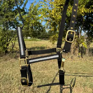 Black Bling Nylon Horse Halter BNHBLK