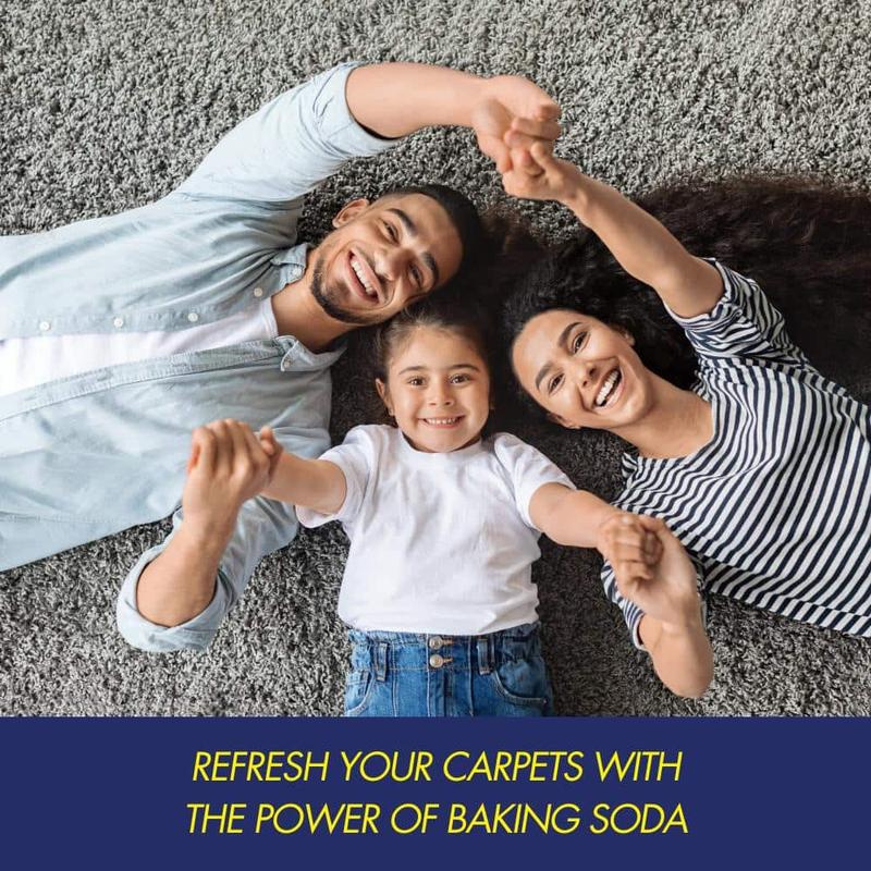 30 oz. Extra Strength Carpet and Room Odor Eliminator (3-Pack)