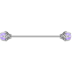 Astral Industrial Bar 14G Purple for Earlobe Cartilage Piercings Black Body Jewelry Unisex Summer Accessories Earrings