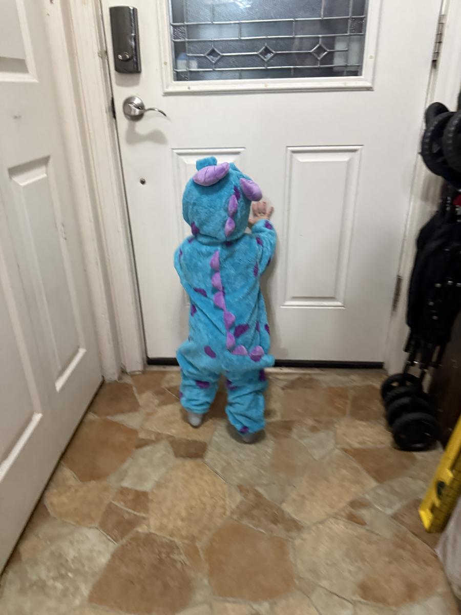 Item: Blue, 2-3 Years