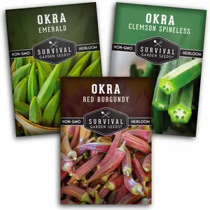 Okra Seed Collection - 3 Varieties of Okra Okra Seed Collection - 3 Varieties of Okra