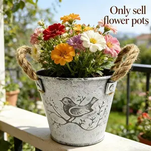 2 Piece Bird Pattern Flower Pot Set, Rustic Iron Planter, American Country Style, Metal Succulent Pot with Handle