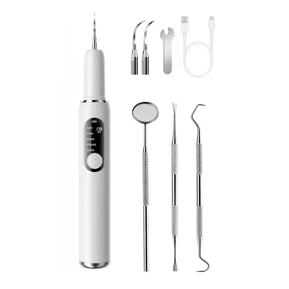 LED Electric Dental Cleaner - 5 Modes Plaque & Tartar Remover, USB Rechargeable  Care Device with 3 Replacement Heads, Interdental Cleaner & Gum Massager for Daily  Hygiene portable care solution cost-effective oral teeth