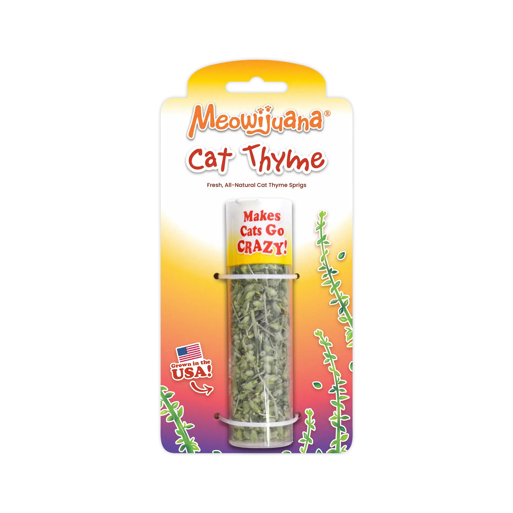 Cat Thyme Sprigs