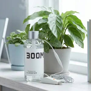 300ml Plastic USB Humidifier