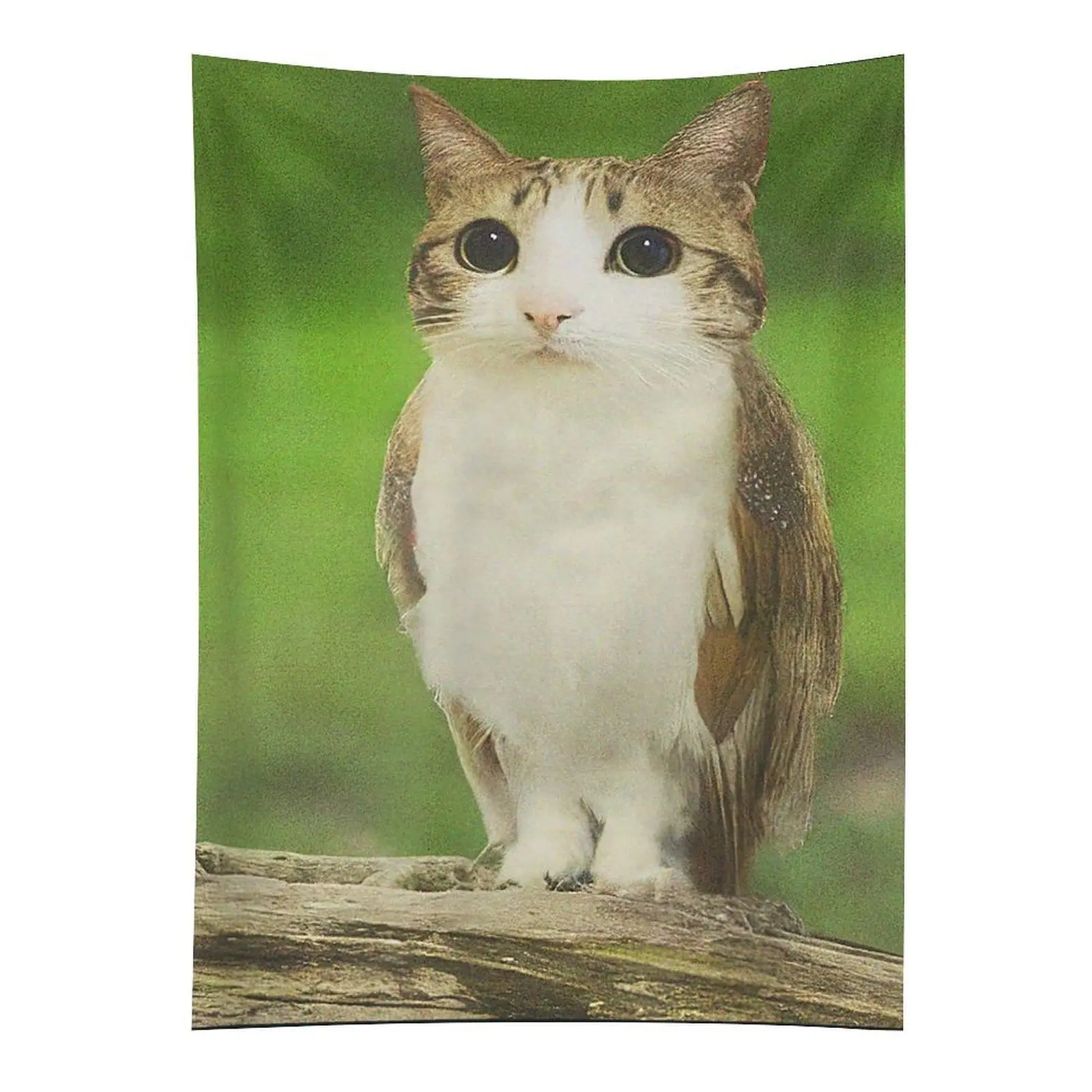 Cat Owl Funny Cursed Internet Trendy Meme Tapestry Home Decor for All Seasons