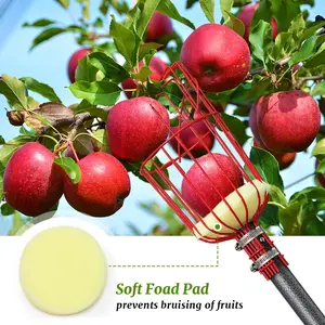 Adjustable Fruit Picker Tool, Long Handle with Basket, 35-65 Inches, Ideal for Apples, Oranges, Avocados, Chestnuts, Lemons, Pears, Mangoes