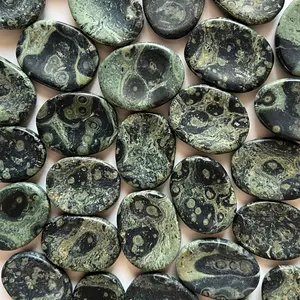 Kambaba Jasper Worry Stone