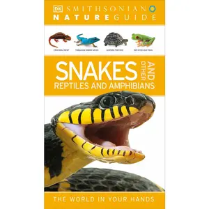 USED-Nature Guide: Snakes and Other Reptiles and Amphibians: The World in Your Hands by DK (Paperback)