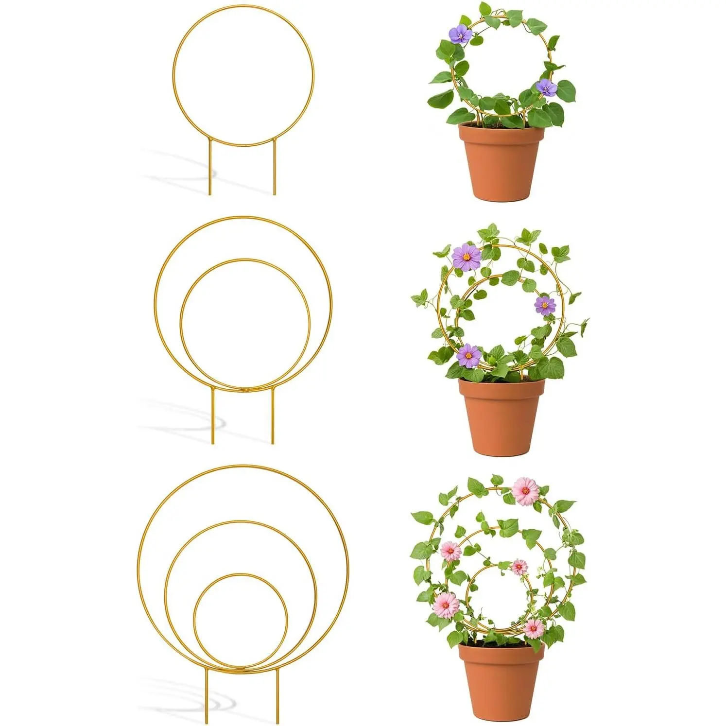 3 Pack  Round  Trellis Indoor, Small Metal  Support Stake for Climbing , Different Sizes  Garden Trellis for Ivy and  Outdoor