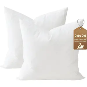 24x24 Down  Throw Pillow Inserts Set of 2,    Cover, Soft Square Decorative Pillow for Sofa, Couch and Bed, White