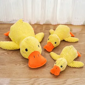 QuackNPlay Duck Toy