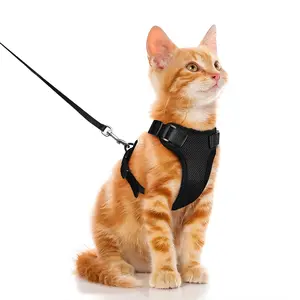 Cat Harness and Leash Set Escape-Proof Reflective Adjustable Kitten Vest with Soft Padding Comfort Fit for Indoor Training & Outdoor Walking Simple Design