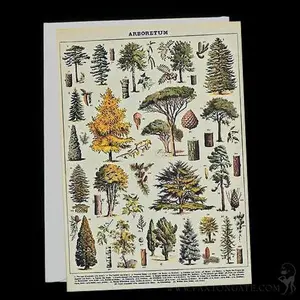 Arboretum Card