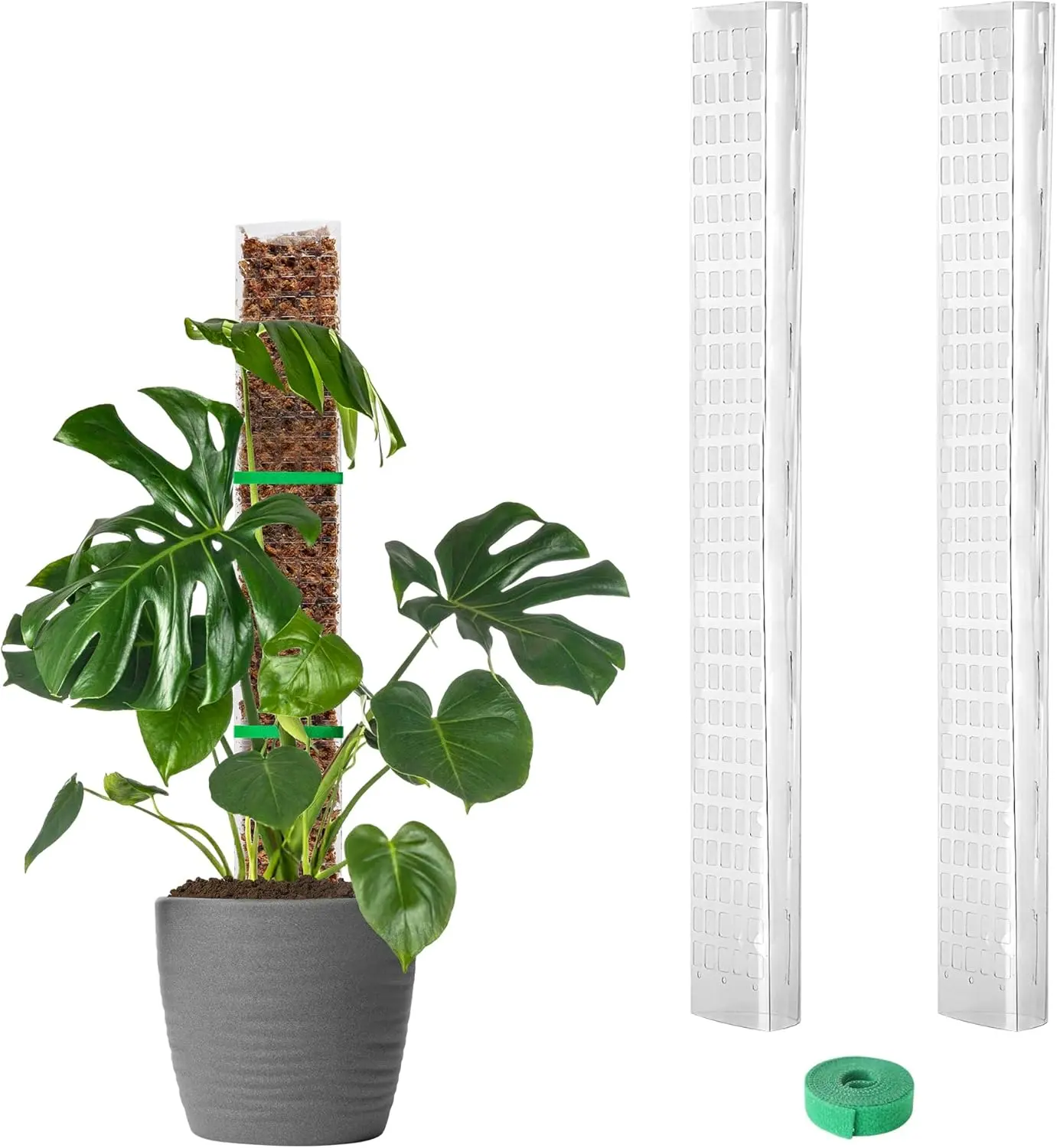 2-Pack D-Shaped Plastic Moss Poles for Monstera - 24-Inch Supports Roots, Sphagnum Moss Plant Care & Support, Long Pole Indoor Gardening Climbing Plant Stakes with Garden Ties (45-Inch Total Set)