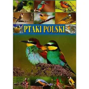 USED-Ptaki polski by Praca Zbiorowa (Hardcover)