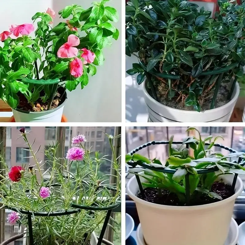 grow plant pot Flower Grow Kits | Fluted Ceramic Planter | Complete Hydroponic Setup main image 1