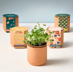 Tiny Terracotta Kits - Includes Plant in Pot, Ideal for Home Decor, Versatile Packaging for Various Uses