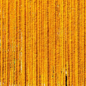 Marigold Garland for Decoration 5  Long Strands Artificial Marigold , Indian Decor for Pooja, Wedding Christmas, Events (Orange, 5)