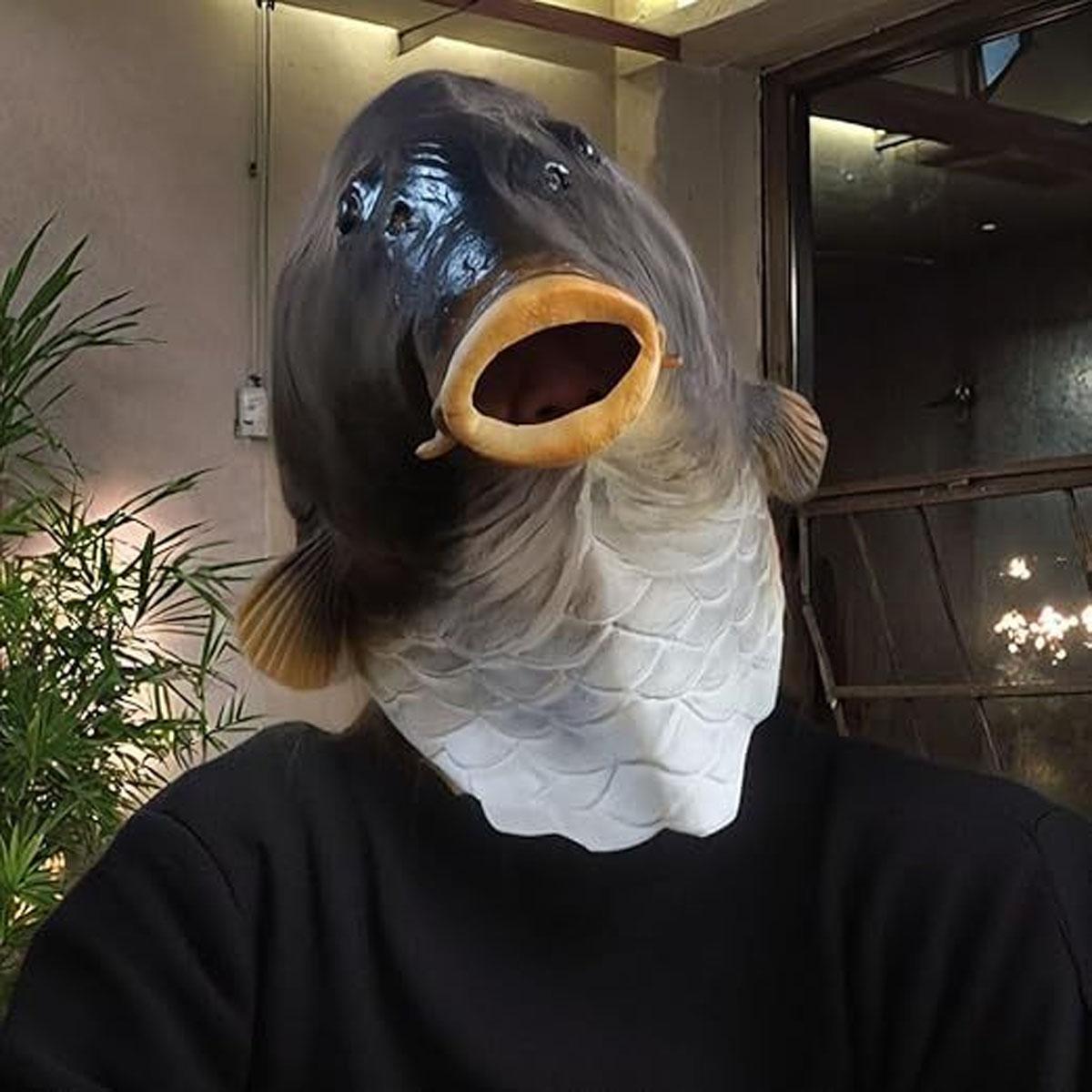 halloween accessory whimsical design mask,Realistic Animal Fish Mask - Halloween costume and fun full head latex mask cosplay helmet fish face costume party props