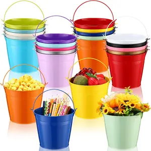 24 Pack Colored Metal Small Bucket with Handle 6 x 4.3 x 5 Inch Galvanized Bucket Pail Bulk for Ice Tin Can Classroom Crafts Party Favor