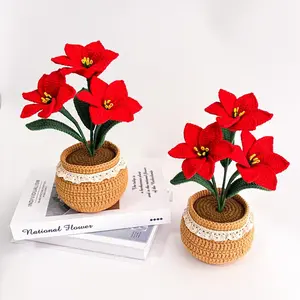 Crochet Flowers, Red Hippeastrum Flower Pot, Amaryllis Flower Bouquet, Birthday Gifts for Mom, Teacher, Sister, Western Friends, Desk Decor