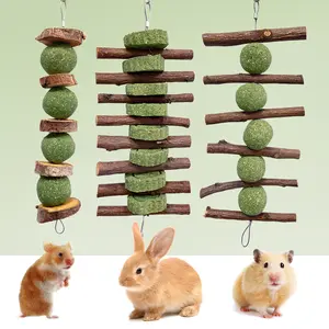 3 Pcs Bunny Chew Toys  for Teeth Grinding, Improve Dental Health, Treats for Rabbits Guinea Pigs Chinchillas Bunnies Hamsters