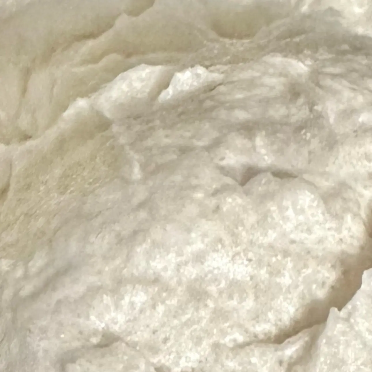 Whipped Body Scrub - Coconut