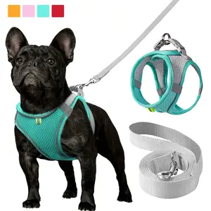 2Pc/set Reflective Cat Dog Leash And Harness Set - Durable Reflective Harness, Comfortable, Breathable Mesh Vest With Padded Nylon Lead For Small To Medium Breeds Pet Collars - No-Choke Design with Dual D-Ring