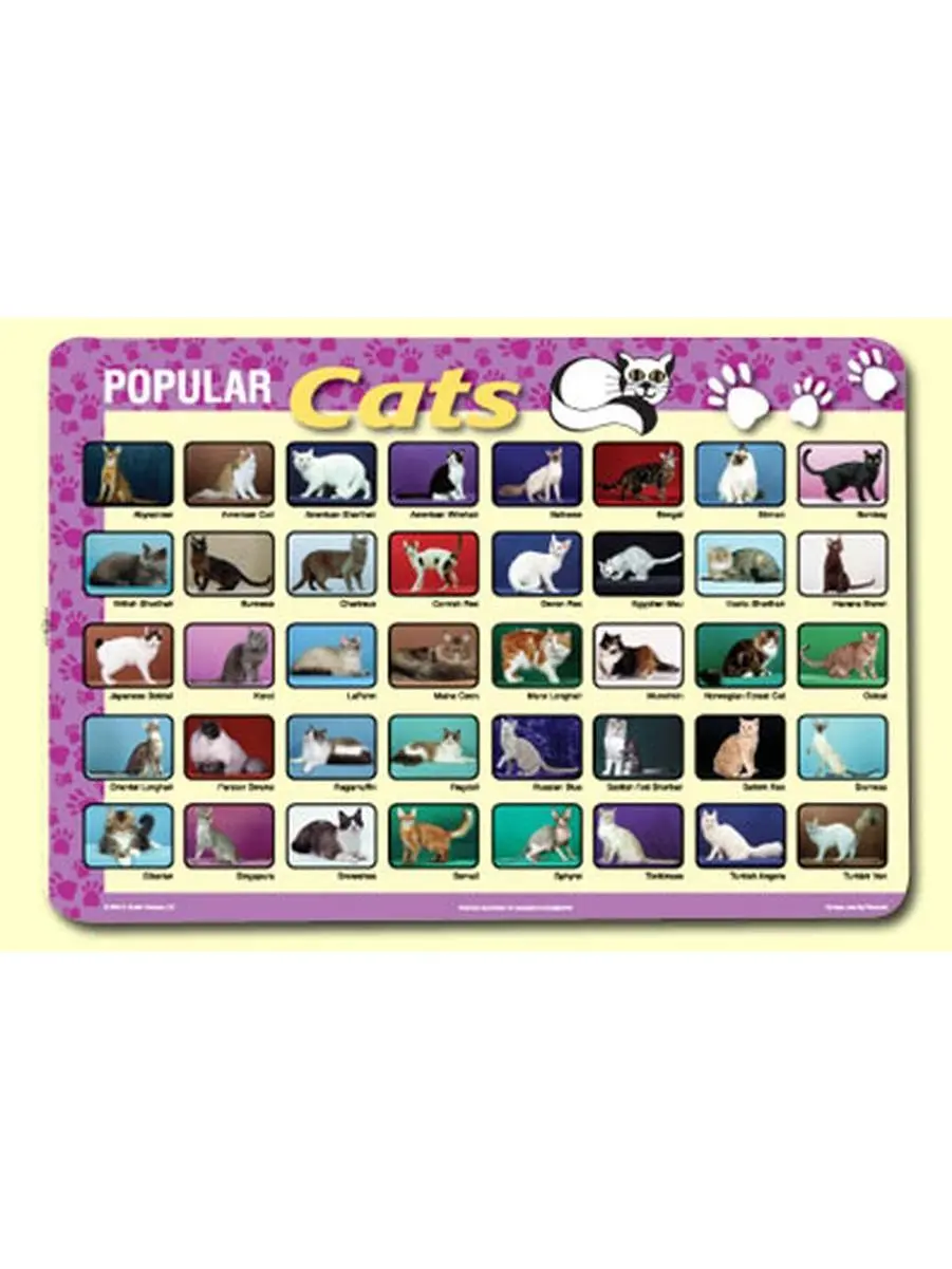 Painless Learning CAT-1 Popular Cats Tableware Placemat - Pack of 4