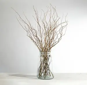 10 Natural Curly Willow Branch Tips - Great for Decoration, Vase Filler, Wedding or Event Decor - Approx. 3 Foot Tall