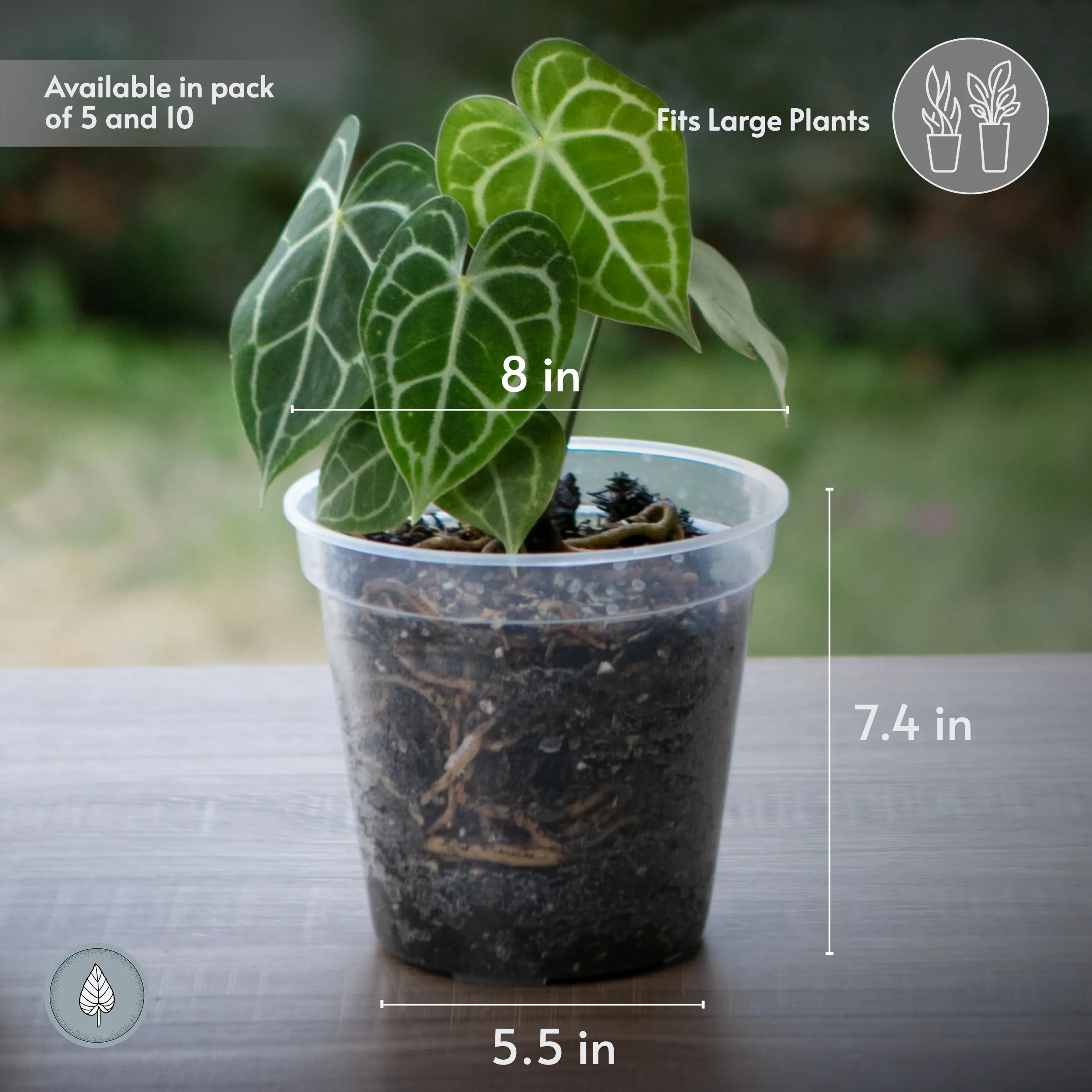 8 inch Clear Nursery Pots for Large-Sized Plants | karenplantsplants -  TikTok Shop